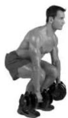 BOWFLEX SelectTech BD1090i - INIZIO AZIONE - 1