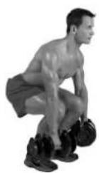 BOWFLEX SelectTech BD1090i - Consejos para el exito - 3