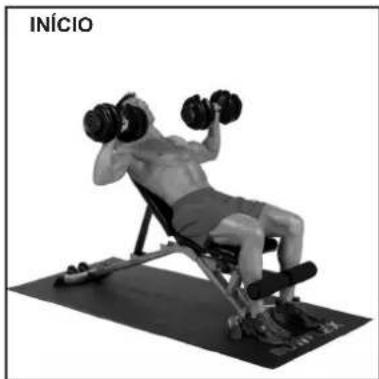 BOWFLEX SelectTech BD1090i - Músculoseworkados - 2