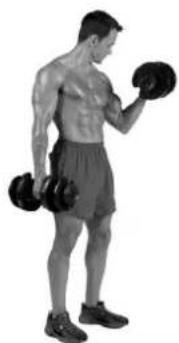 BOWFLEX SelectTech BD1090i - Consigli per il successo - 3