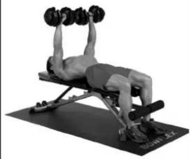 BOWFLEX SelectTech BD1090i - Success tips - 4