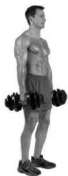 BOWFLEX SelectTech BD1090i - Consejos para el exito - 2