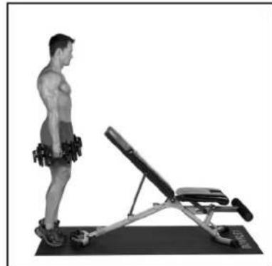 BOWFLEX SelectTech BD1090i - Gastrocnemio e soleo - 3