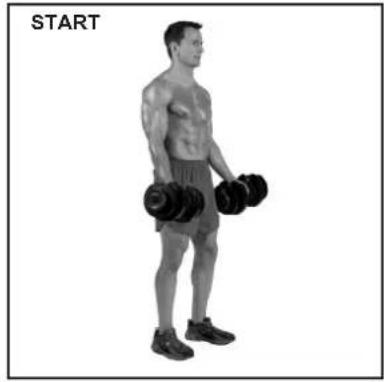 BOWFLEX SelectTech BD1090i - Success tips - 2