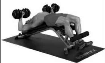 BOWFLEX SelectTech BD1090i - Músculoseworkhados - 2