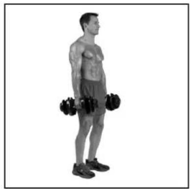 BOWFLEX SelectTech BD1090i - # - 89