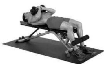 BOWFLEX SelectTech BD1090i - Dicas de successo - 2