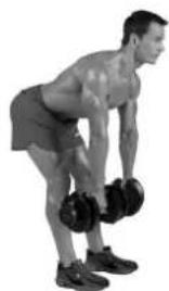 BOWFLEX SelectTech BD1090i - Músculoseworkhados - 3