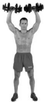 BOWFLEX SelectTech BD1090i - Consejos para el exito - 3