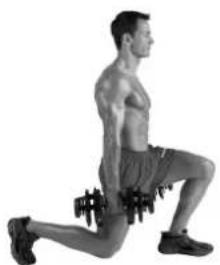 BOWFLEX SelectTech BD1090i - Consejos para el exito - 3