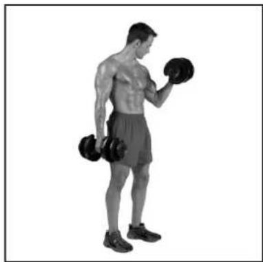 BOWFLEX SelectTech BD1090i - # - 59