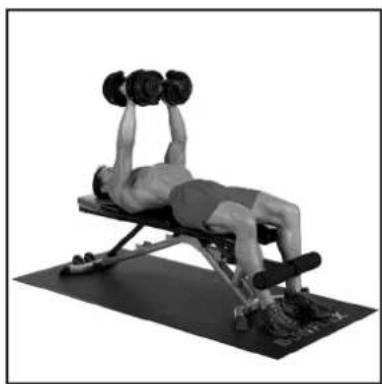BOWFLEX SelectTech BD1090i - # - 49