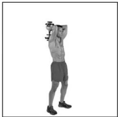 BOWFLEX SelectTech BD1090i - # - 70