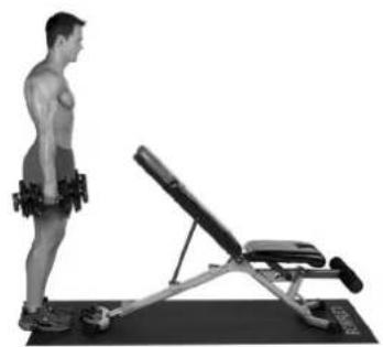 BOWFLEX SelectTech BD1090i - Levantamento de Gêmeos - 2
