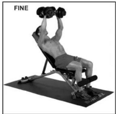 BOWFLEX SelectTech BD1090i - INIZIO AZIONE - 1