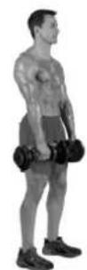BOWFLEX SelectTech BD1090i - Tips voor succes - 2