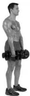 BOWFLEX SelectTech BD1090i - Zielmuskulatur - 2
