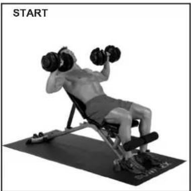 BOWFLEX SelectTech BD1090i - Erfolgstipps - 2