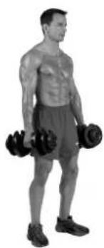 BOWFLEX SelectTech BD1090i - ACTION - 2