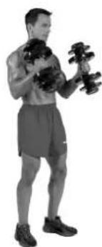 BOWFLEX SelectTech BD1090i - Músculos ejercitados - 3