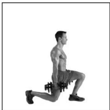 BOWFLEX SelectTech BD1090i - auii ciie - 1