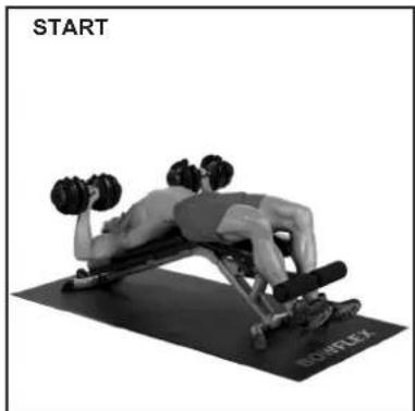 BOWFLEX SelectTech BD1090i - Erfolgstipps - 2