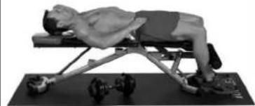 BOWFLEX SelectTech BD1090i - Twisting Side Crunch - 2