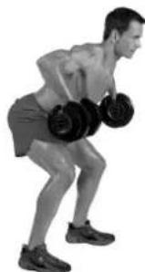 BOWFLEX SelectTech BD1090i - Muscles worked - 3