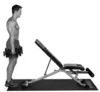 BOWFLEX SelectTech BD1090i - Calf Raises - 2