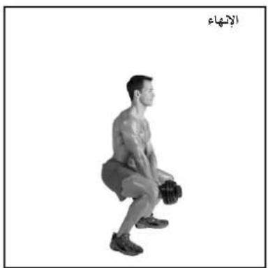 BOWFLEX SelectTech BD1090i - BowFlex SelectTech - 3