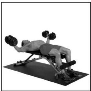 BOWFLEX SelectTech BD1090i - # - 48