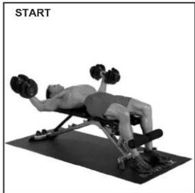 BOWFLEX SelectTech BD1090i - Fliegende Bewegung auf der Flachbank - 2