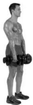 BOWFLEX SelectTech BD1090i - Consejos para el exito - 2