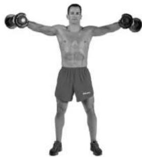 BOWFLEX SelectTech BD1090i - Seitheben mit Kurzhanteln - 3