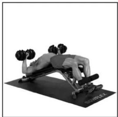 BOWFLEX SelectTech BD1090i - # - 55