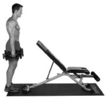 BOWFLEX SelectTech BD1090i - Gastrocnemio e soleo - 2