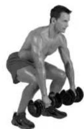 BOWFLEX SelectTech BD1090i - Zielmuskulatur - 2