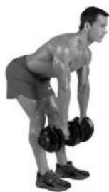 BOWFLEX SelectTech BD1090i - Consejos para el exito - 3