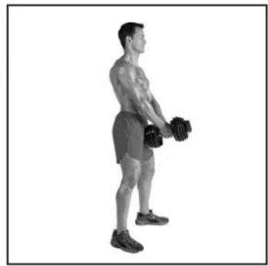 BOWFLEX SelectTech BD1090i - # - 27