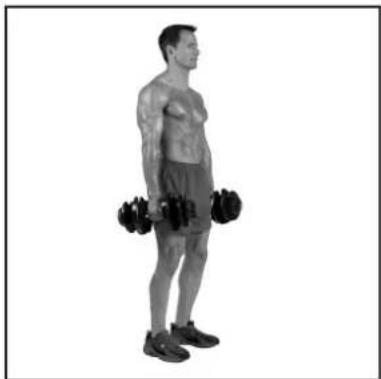 BOWFLEX SelectTech BD1090i - Consigli per il successo - 3