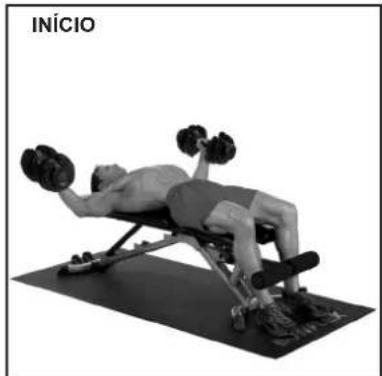 BOWFLEX SelectTech BD1090i - Peitoral maior e deltoides Reto - 2