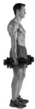 BOWFLEX SelectTech BD1090i - Reverse Lunge - 2