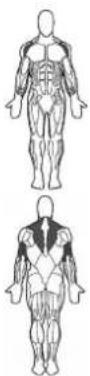 BOWFLEX SelectTech BD1090i - Success tips - 1