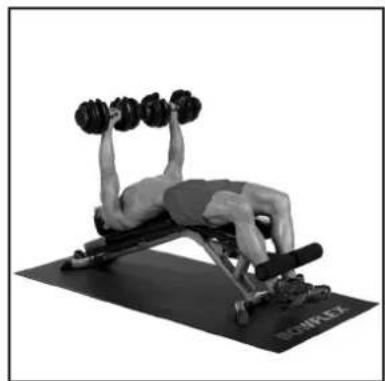 BOWFLEX SelectTech BD1090i - # - 56