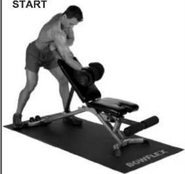 BOWFLEX SelectTech BD1090i - Scott-Curls — Stehende Konzentrationscurls - 2