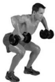 BOWFLEX SelectTech BD1090i - Muscles worked - 3