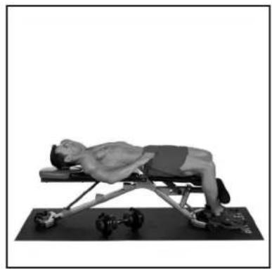 BOWFLEX SelectTech BD1090i - # - 103