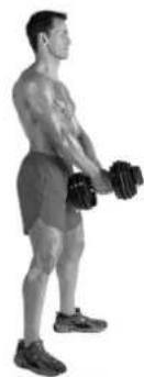 BOWFLEX SelectTech BD1090i - Consigli per il successo: - 2