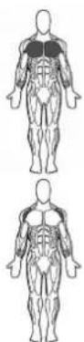 BOWFLEX SelectTech BD1090i - Erfolgstipps - 1