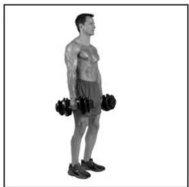 BOWFLEX SelectTech BD1090i - 1 - 2